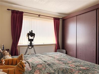 Picture 20